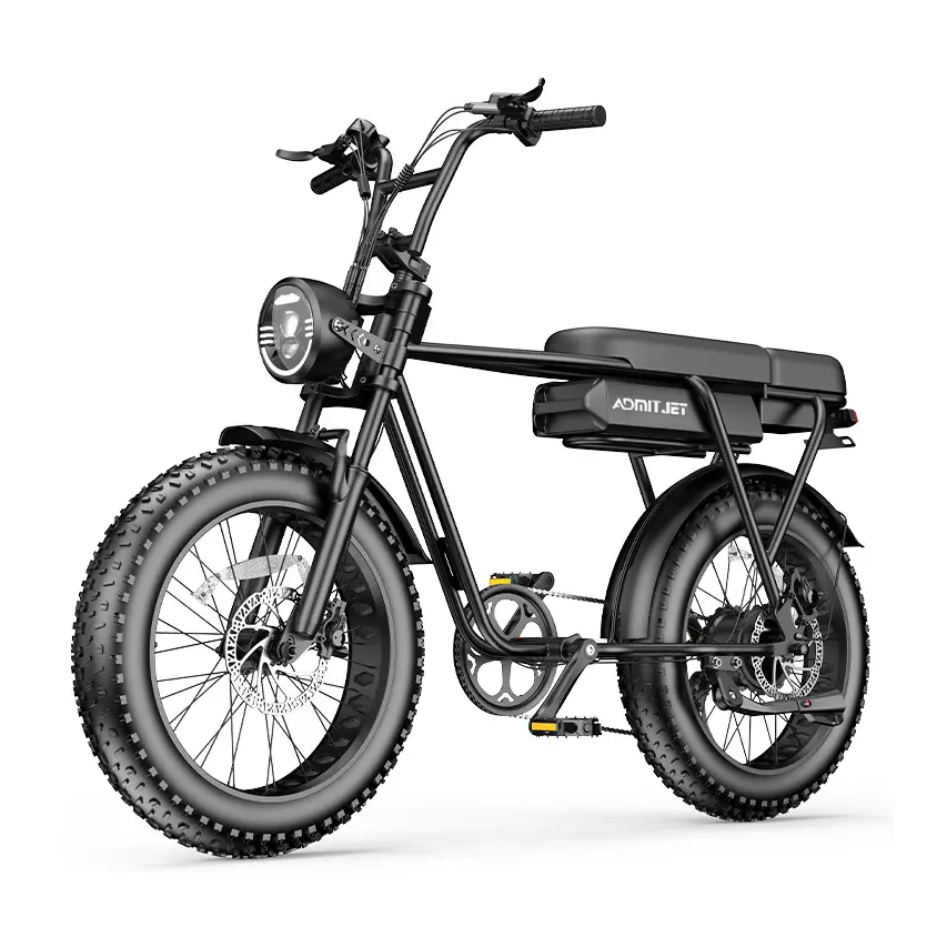 Pedal Assist Vintage Beach Cruiser Ebike Fat Tire Mountain Electric Bike 500W 750W 1000W 48V For Sale