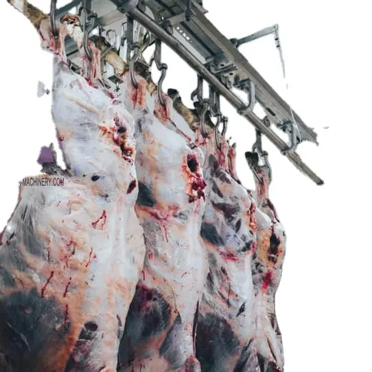 Sistema de carriles de carne para matadero de ganado, sistema personalizado de llave en mano Halal, para equipo de carnicero