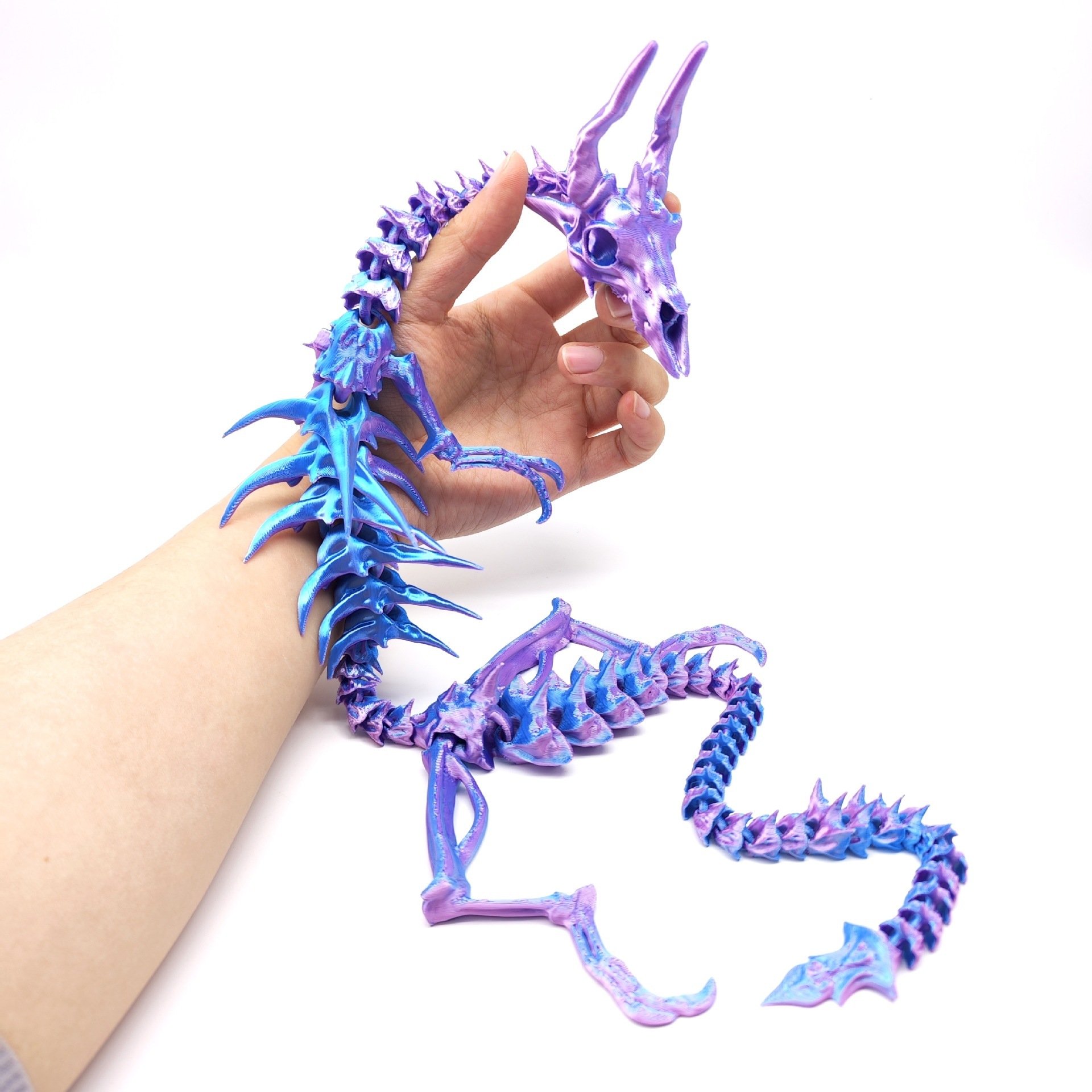 Dragon bleu poudré