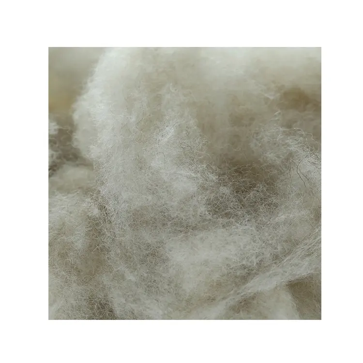 Fibre de laine cachemire gris clair 16.5mic 20-30mm en prix discount