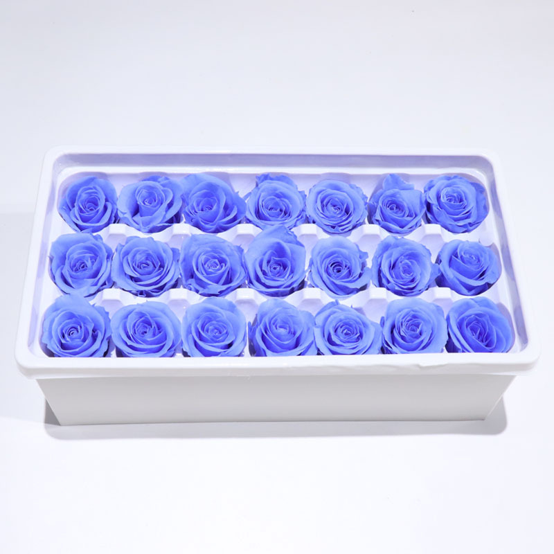 Blu viola