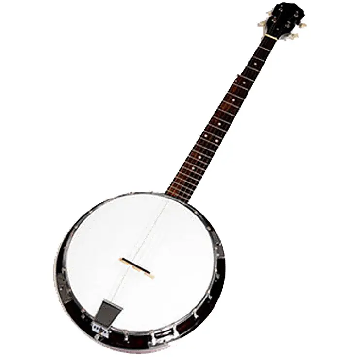 Banjo, 5 strings banjo, strings เครื่องดนตรี
