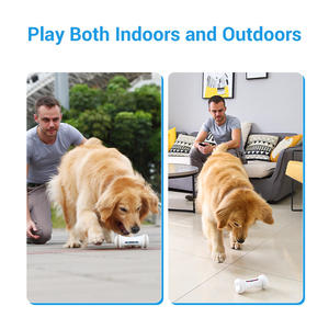 Nouveauté 2025 Jouet d'Agilité Robot IA pour Chiens à Piles Style Moderne et Tendance Vente Flash Logo Chien Forme Os en PC Peluche - Product Image 6