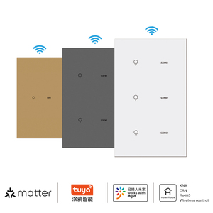 Erschwing liche Smart Switch-Lösungen Budget-freundliche Automatisierung Smart Switch ZigBee Tuya auf Telefon App über WLAN Smart Switch 12Volt - Product Image 2