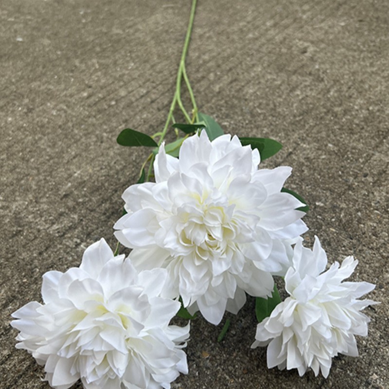 123 têtes de dahlia français