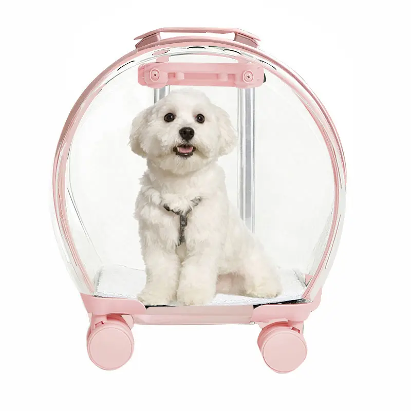 Carrello da viaggio per animali domestici in capsula trasparente di vendita calda per cuccioli, cani, trasportini per gatti, borsa con ruota del carrello