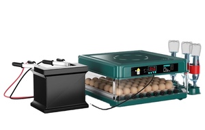 2022新しいデザイン自動温度湿度制御卵インキュベーター小容量10個の卵 - Product Image 3