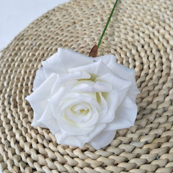 Blanc