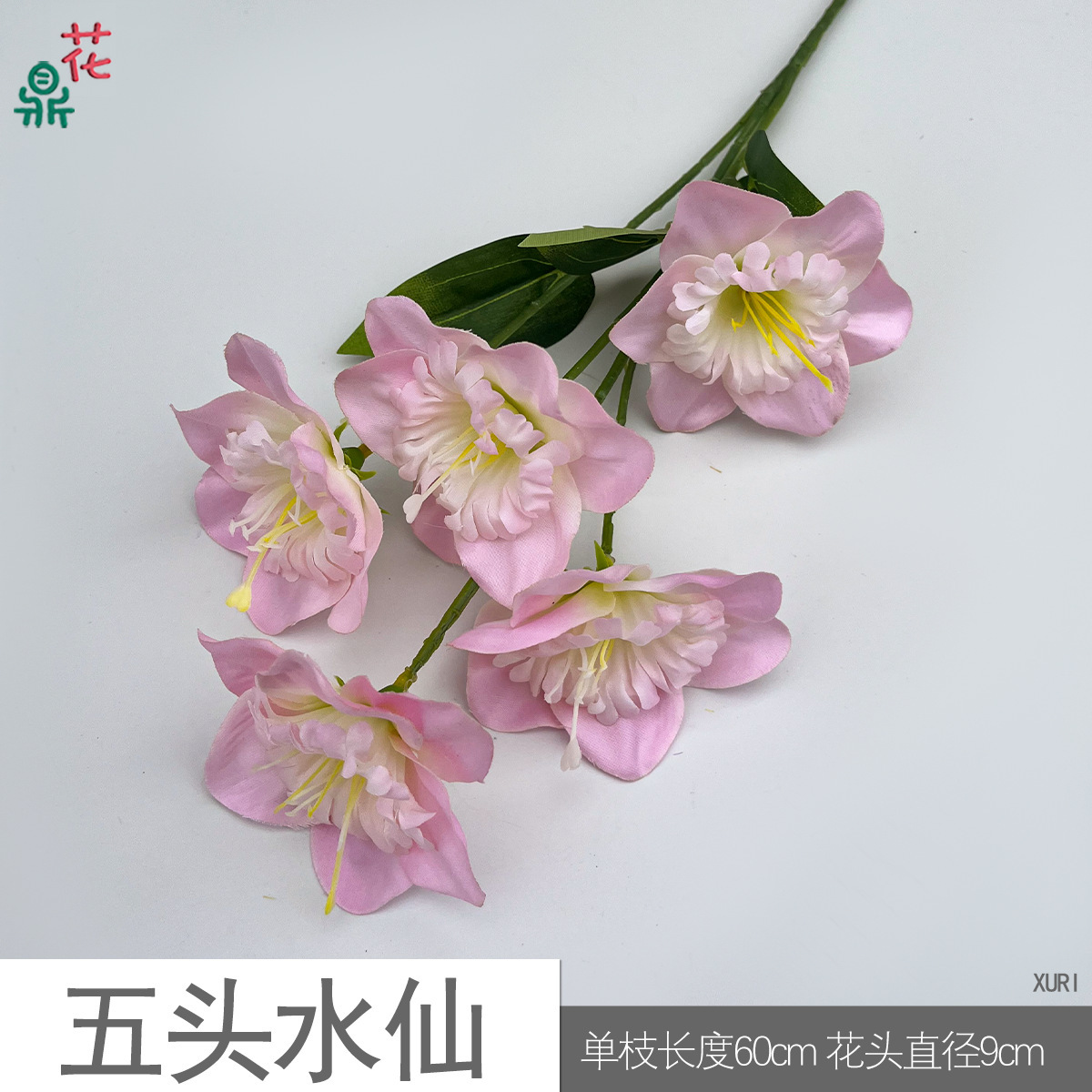 Narcisse XURI Rose à cinq têtes