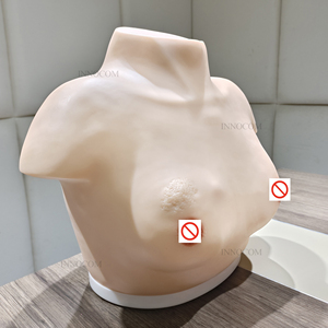 Kadın muayene ve palpasyon öğretim kaynaklarının tıbbi eğitim modelleri meme kendini muayene meme modeli - Product Image 6