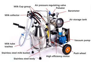 パキスタンエジプトドイツ用自動パイプライン手牛とヤギ羊ロバラクダ搾乳機 - Product Image 6