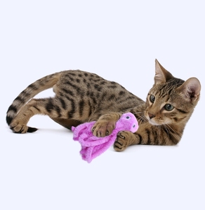 Venta al por mayor de juguetes interactivos para gatos, juguetes creativos de peluche para gatos, pulpo de dibujos animados, juguetes para gatos - Product Image 4