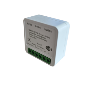 MINI Tuya Wifi Smart Switch 16A Temporizador de control de 2 vías Interruptores inalámbricos Temporizador de relé de voz con Google Home Alexa Tuya