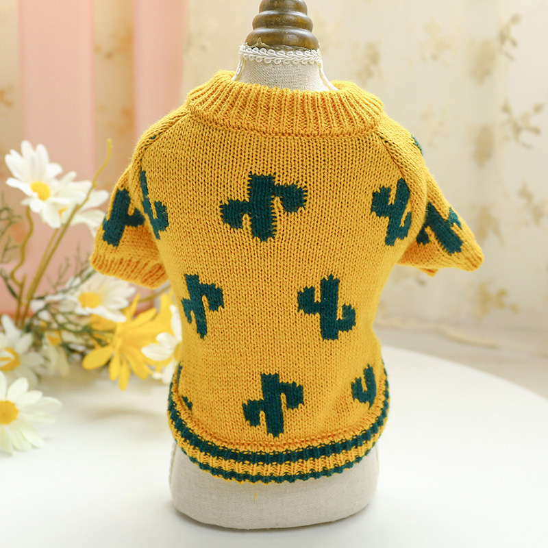 yellow-Turmeric cactus sweater