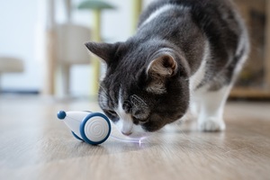 新设计热卖智能猫产品宠物玩具邪恶老鼠猫捕捉快速移动自动跑步老鼠玩具