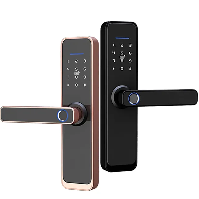Cerradura digital con huella dactilar para seguridad del hogar, dispositivo de cierre inteligente con código de contraseña BLE para Hotel, app TTLOCK