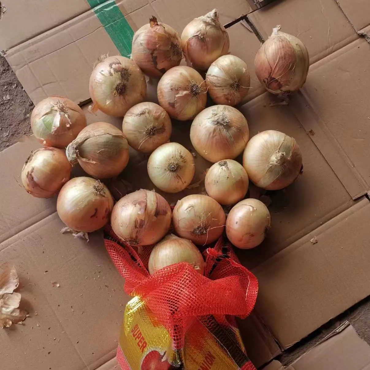 2023 nueva temporada verduras chinas frescas rojo Amarillo Blanco cebolla pelada precio por tonelada de China cebollas frescas de la India compradores a granel