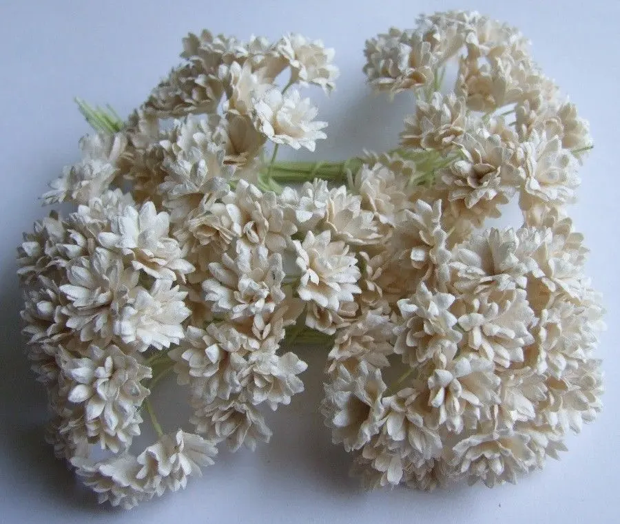 Scrapbooking Craft 144pcs Mini fiore di carta di gelso bianco per la decorazione di nozze regalo di ghirlanda fai da te fatto a mano