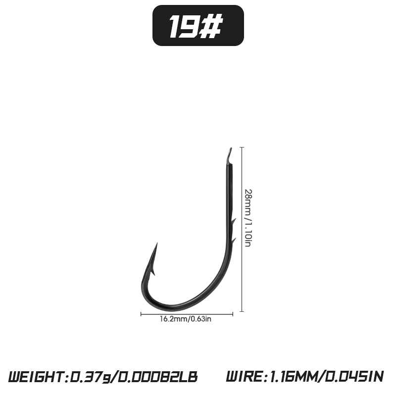 19#