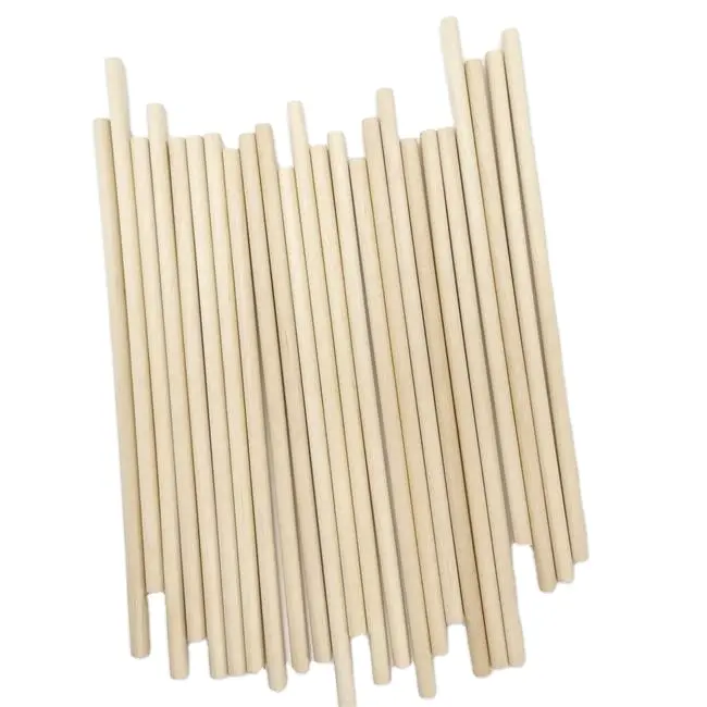 Bastone rotondo in legno usa e getta fantasia tondo in legno di betulla naturale bianco aste/bastoncini/tassello circolare per mobili o gambe del tavolo