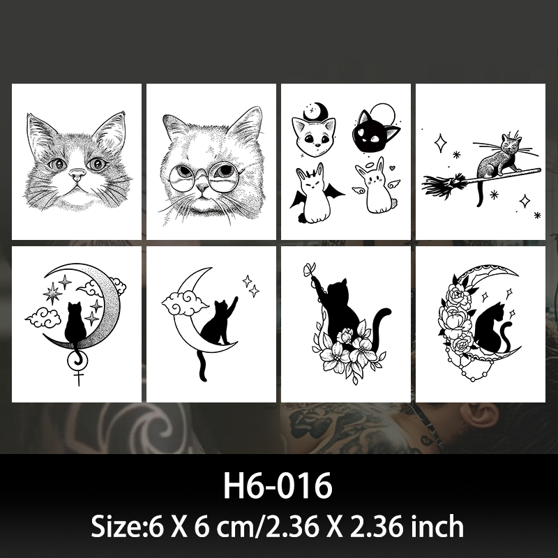 H6-16