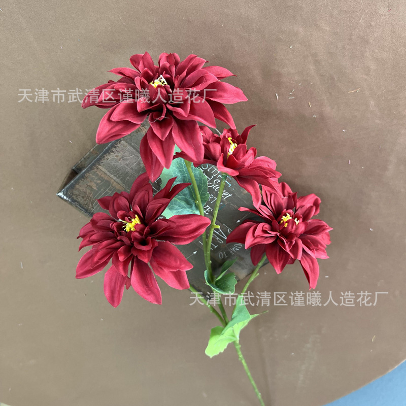 Dahlia à quatre têtes