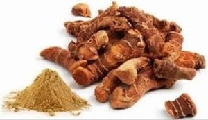 Alpinia Galanga Kulanjan kök <span class=keywords><strong>Paan</strong></span> Jadd Koshtha Kulinjan siyam zencefil Galangal kurutulmuş ham otlar bitki özü bitkisel