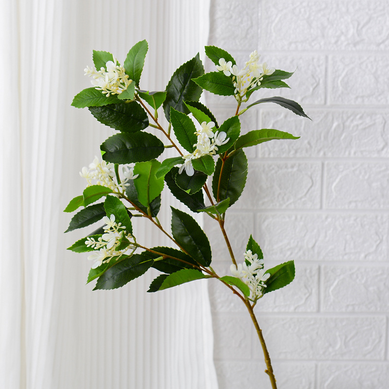 5 grandes fleurs blanches fourchues