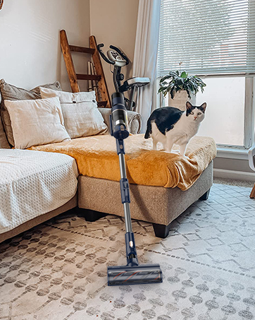 สีน้ำเงินเข้ม