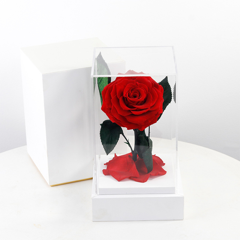 Caja blanca, flor roja.