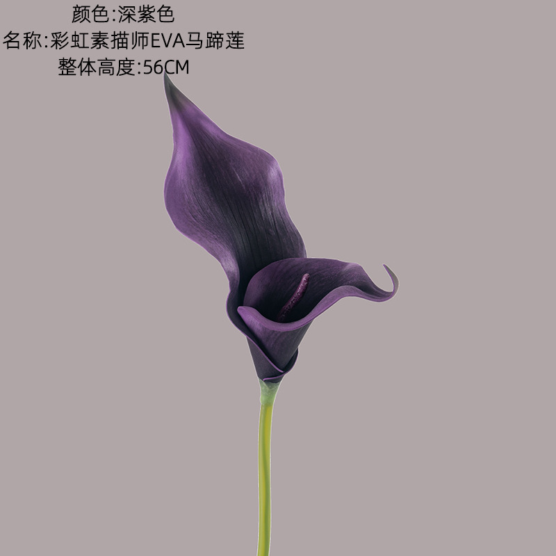 Deep purple