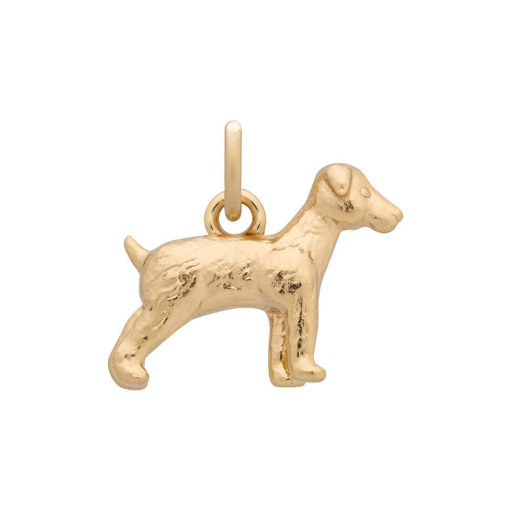 Perro de oro 11mm