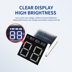 OEM ODM Custom ized 18 Pin 2 Digit 7 Segment LED-Anzeige Digital Tube Pet Supplies Pet Haartrockner Box Led Screen Panels Display - Product Image 2