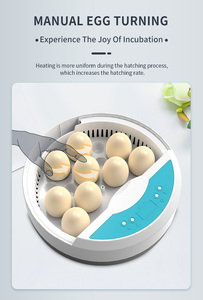 WONEGG Low <strong>Cost</strong> 9 Egg Hatcher for Beginners with Auto Temperature and LED Egg Tester Easy to <strong>Use</strong> - Product Image 4