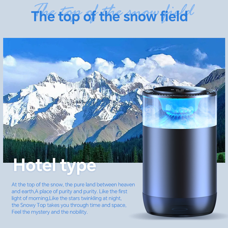Campo de Nieve