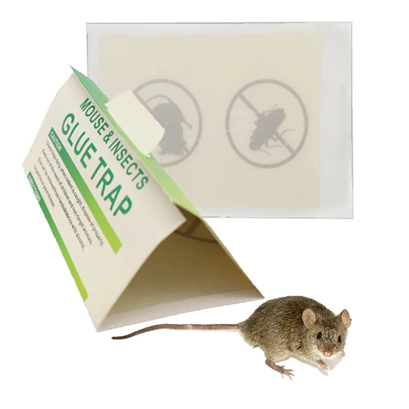 Pièges à cafards antiparasitaires portables d'intérieur Tableaux collants Piège à colle pour souris
