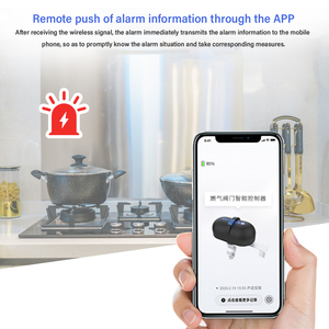 Zigbee akıllı kablosuz su vanası gaz vanası denetleyici APP uzaktan kumanda gaz silindiri vana güvenlik cihazı - Product Image 4
