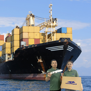 Pengiriman gratis izin pabean Forwarder FBA Ddp dari Tiongkok Shenzhen agen pengiriman ke Inggris Kanada Prancis Jerman ke pintu - Product Image 4