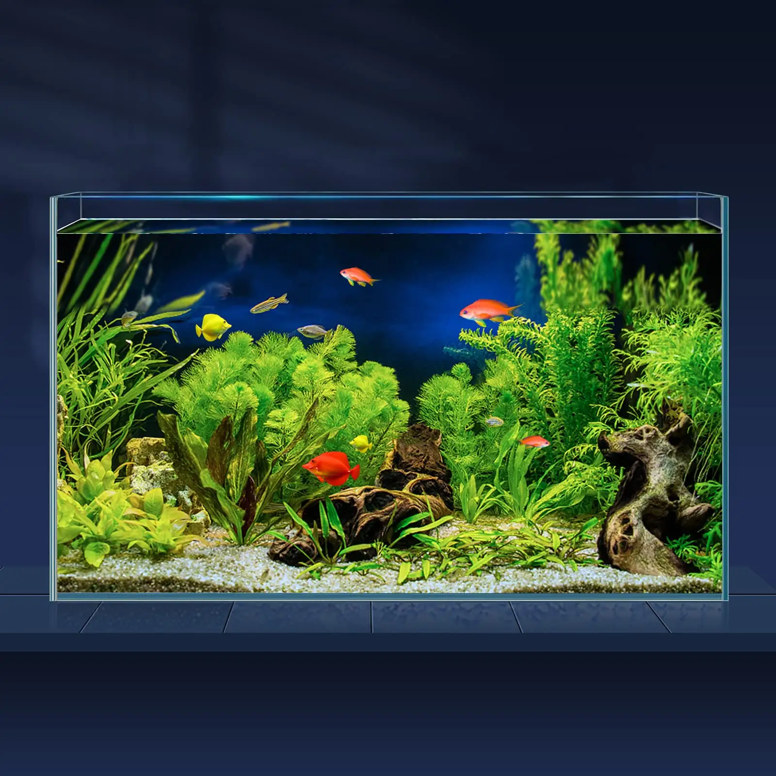 Tamanho personalizado design claro retangular acrílico aquário aquário tanque Betta Tank