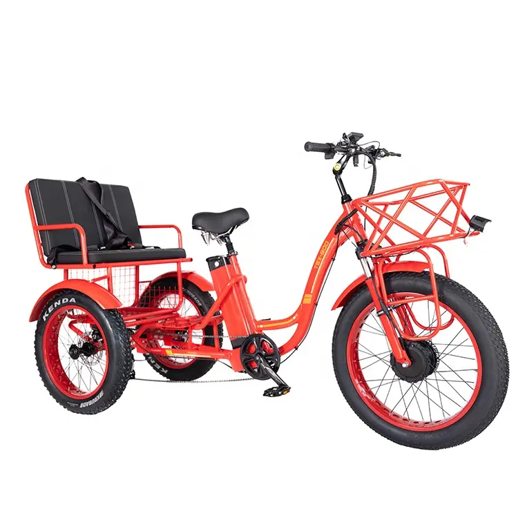 Triciclo elétrico adulto Step-Through de 3 rodas para passageiros, 48V 1000W 50KM/H, pneu grande de neve 4.0 de 24" para carga, passageiros e passageiros, dois assentos, OEM