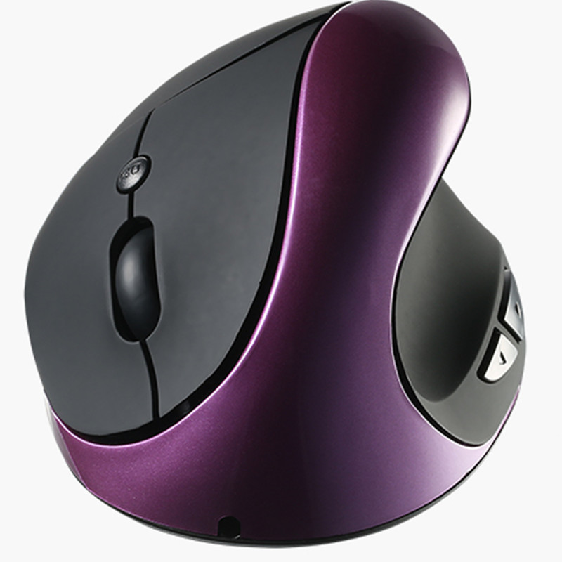 Viola