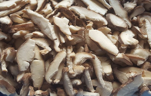 <span class=keywords><strong>IQF</strong></span>冷冻香菇片 & 块-风味丰富，适用于炒菜、肉汤和美食烹饪