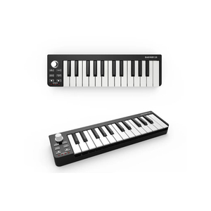 Оптовая продажа, 25 клавиш - Product Image 2
