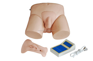 高级女性导尿模拟器导尿套件BC1115-08D - Product Image 4