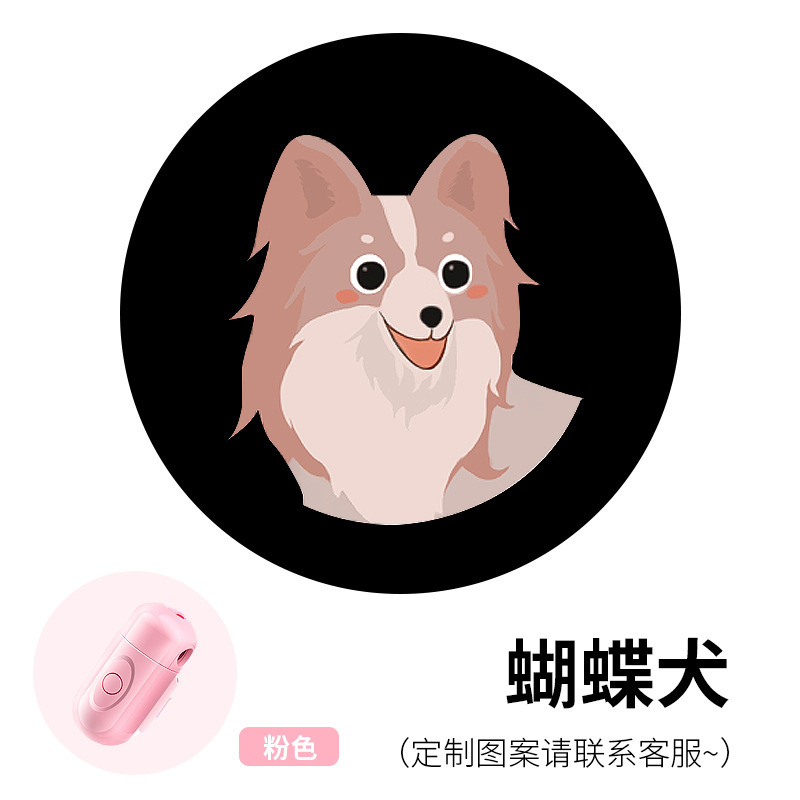 Pink Shell Light + Patterns+Papillon