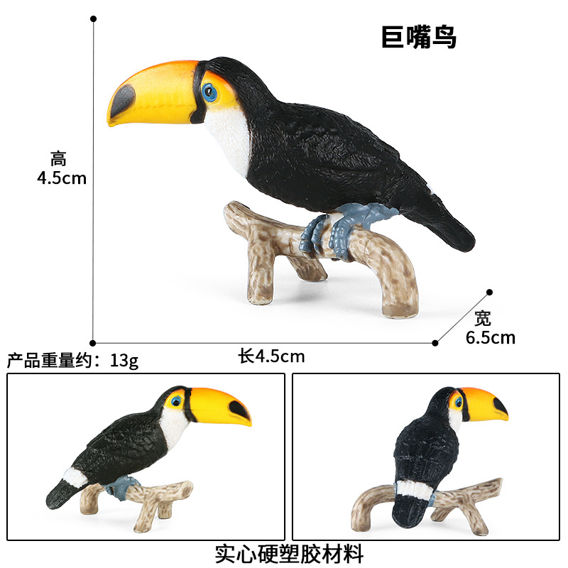 Petit Toucan zjs-397