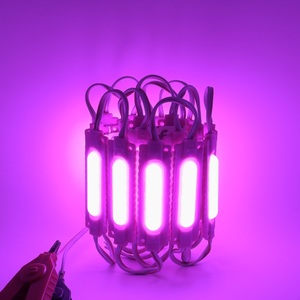 PINK <strong>LED</strong> Module Injection PVC IP65 Opaque Lens Capsule Backlight Blister Character 6leds Advertising 12V 2W SMD 5730 <strong>Led</strong> Module - Product Image 5