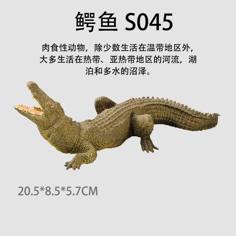 S045 cocodrilo