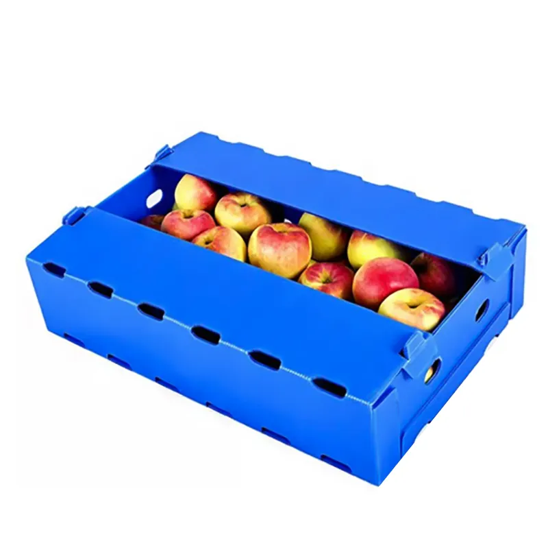 Custom Storage pp Turnover Box Food Gift Shipping Corrugated Plastic Fruit Box