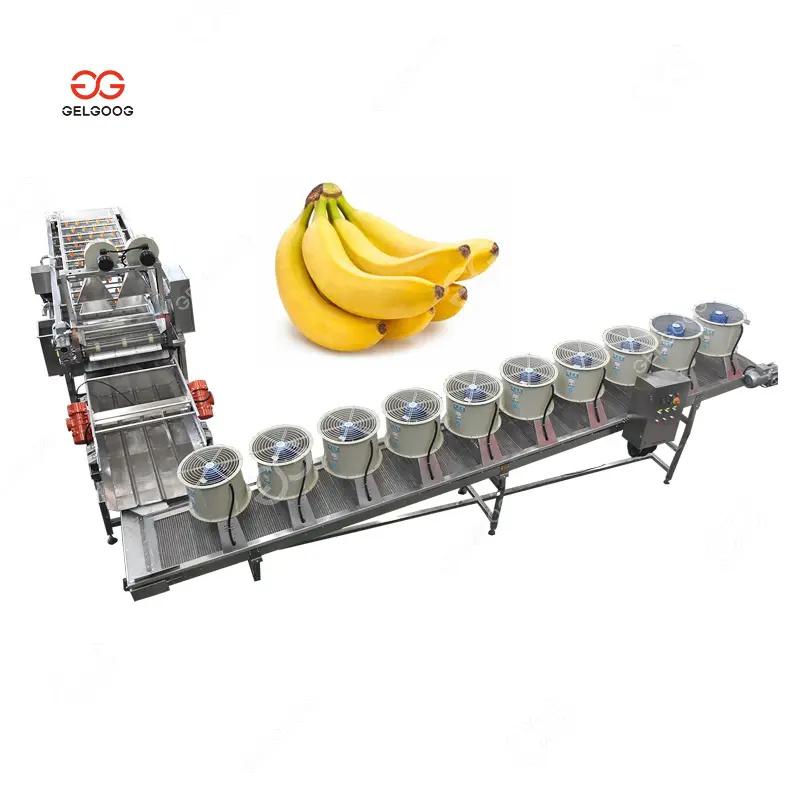 Поставщик Gelgoog, Машина для мойки и сортировки бананов, небольшая машина для очистки овощей и фруктов озона